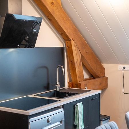 Appartement Balneo-Detente Sainte-Helene-du-Lac 외부 사진